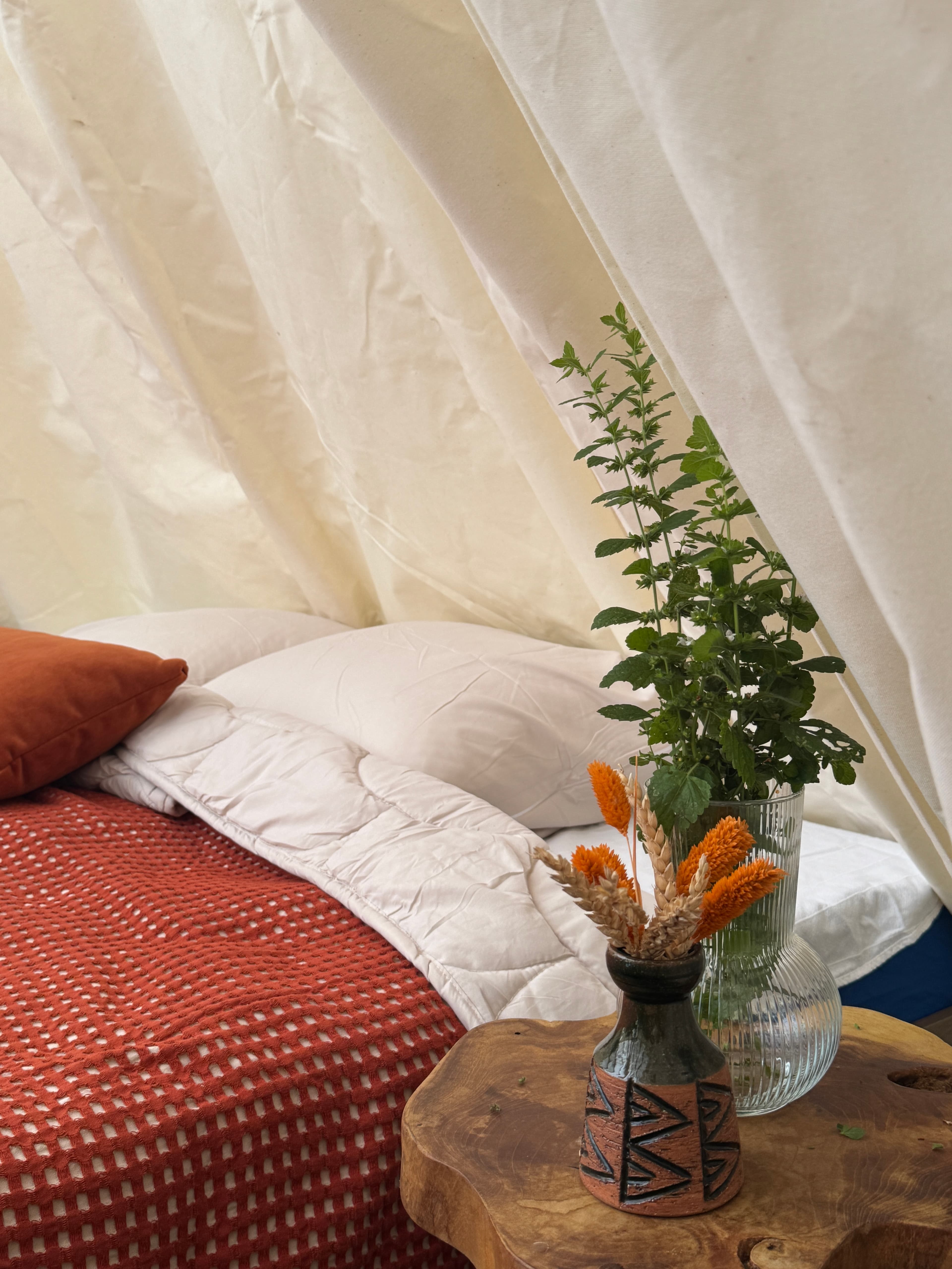 Beekrust — Unique Overnight Stay in a Tipi, Surrounded by Nature — photo 4