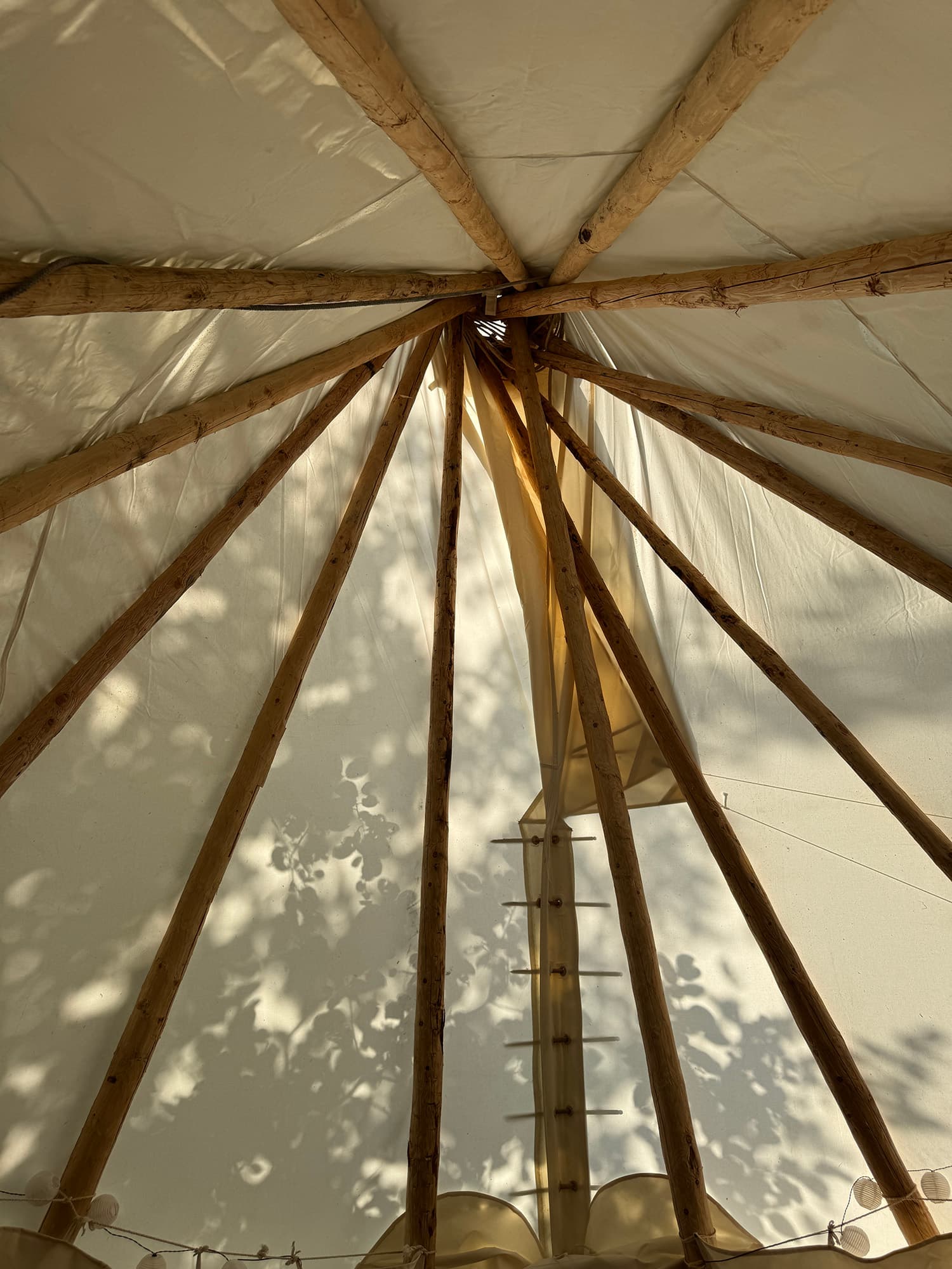 Beekrust — Unique Overnight Stay in a Tipi, Surrounded by Nature — photo 6