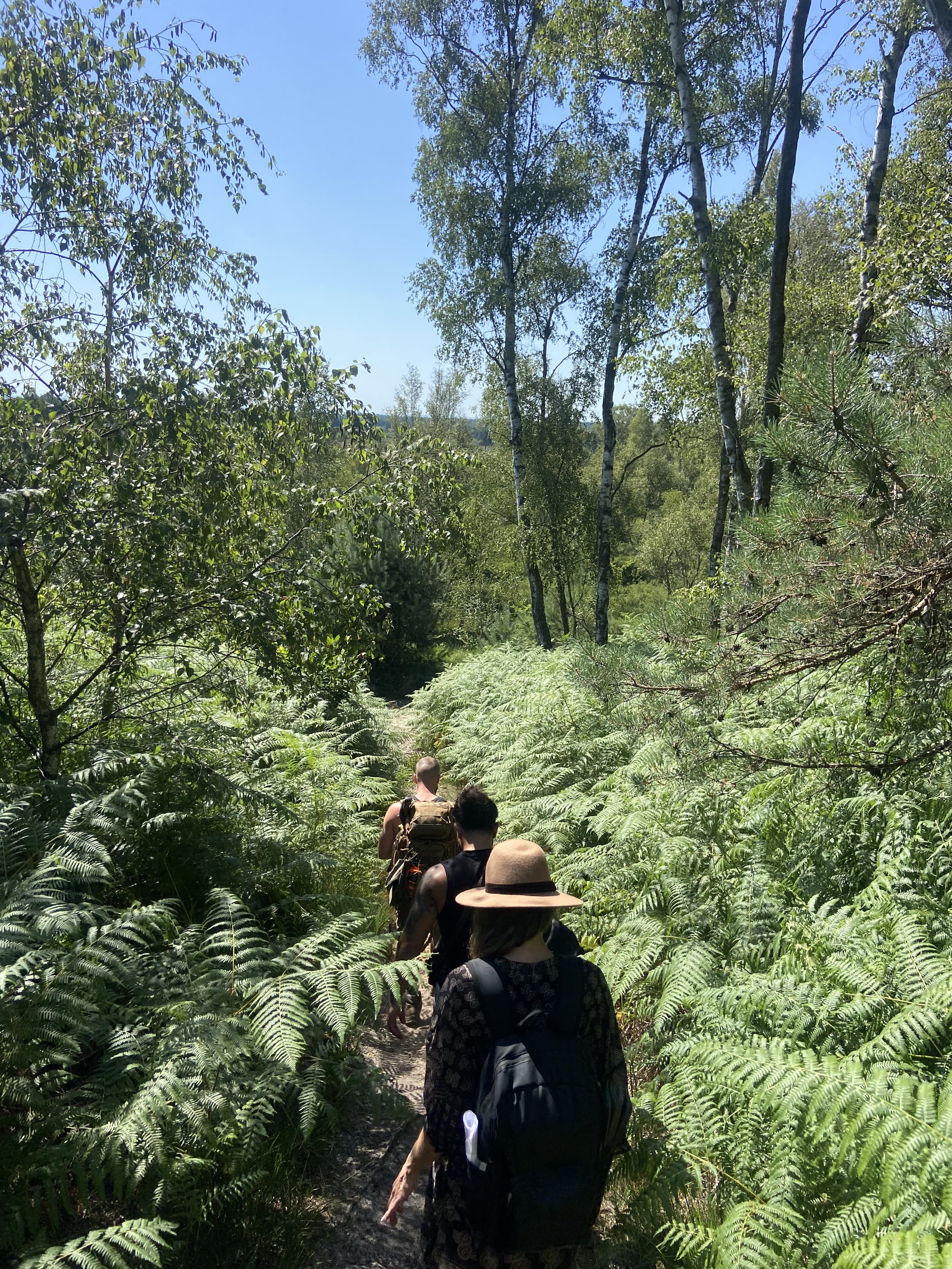 Reconnect Outdoors — Hikes, Survival Trails & Bushcraft Courses — photo 1