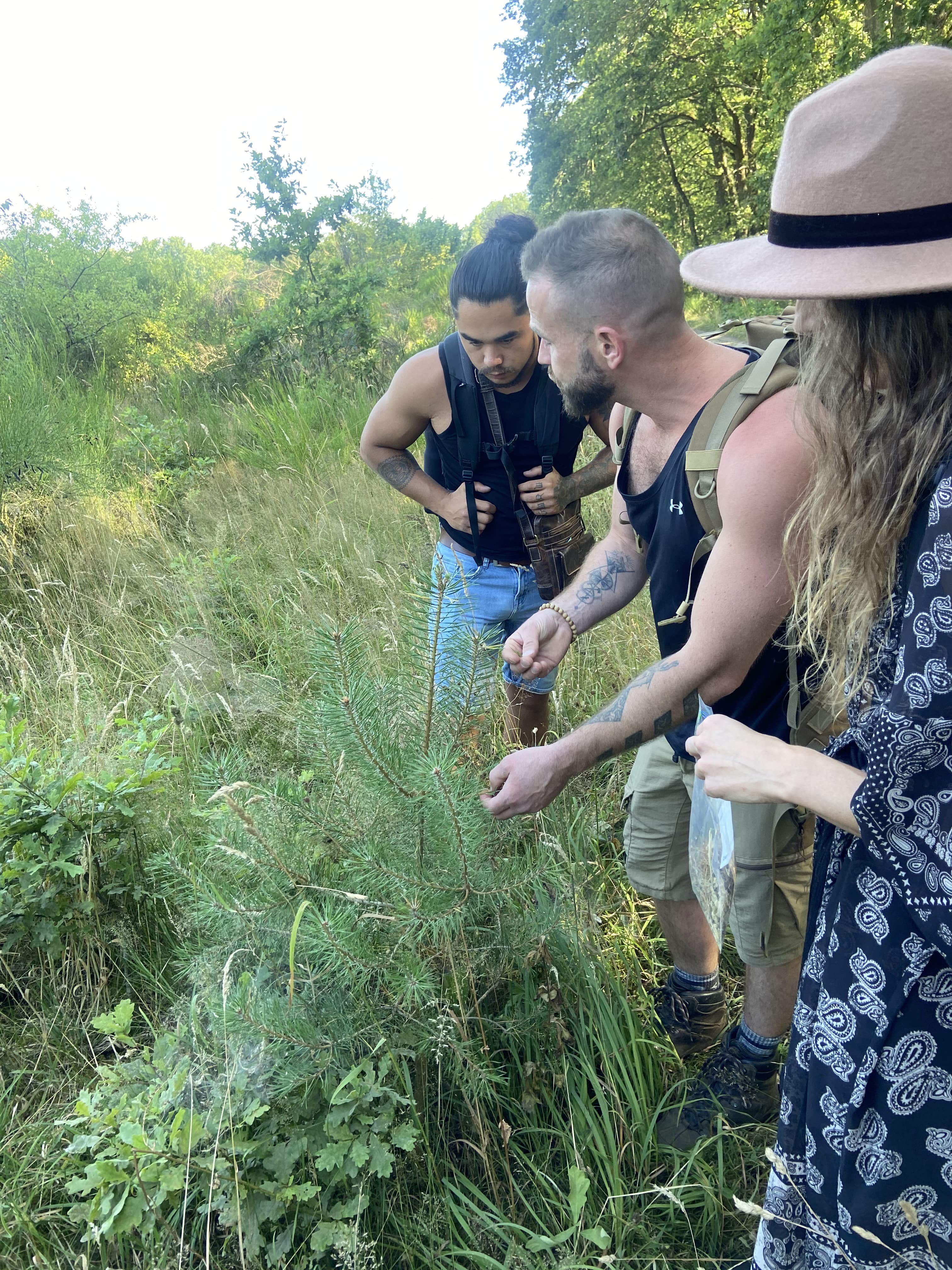 Reconnect Outdoors — Hikes, Survival Trails & Bushcraft Courses — photo 2