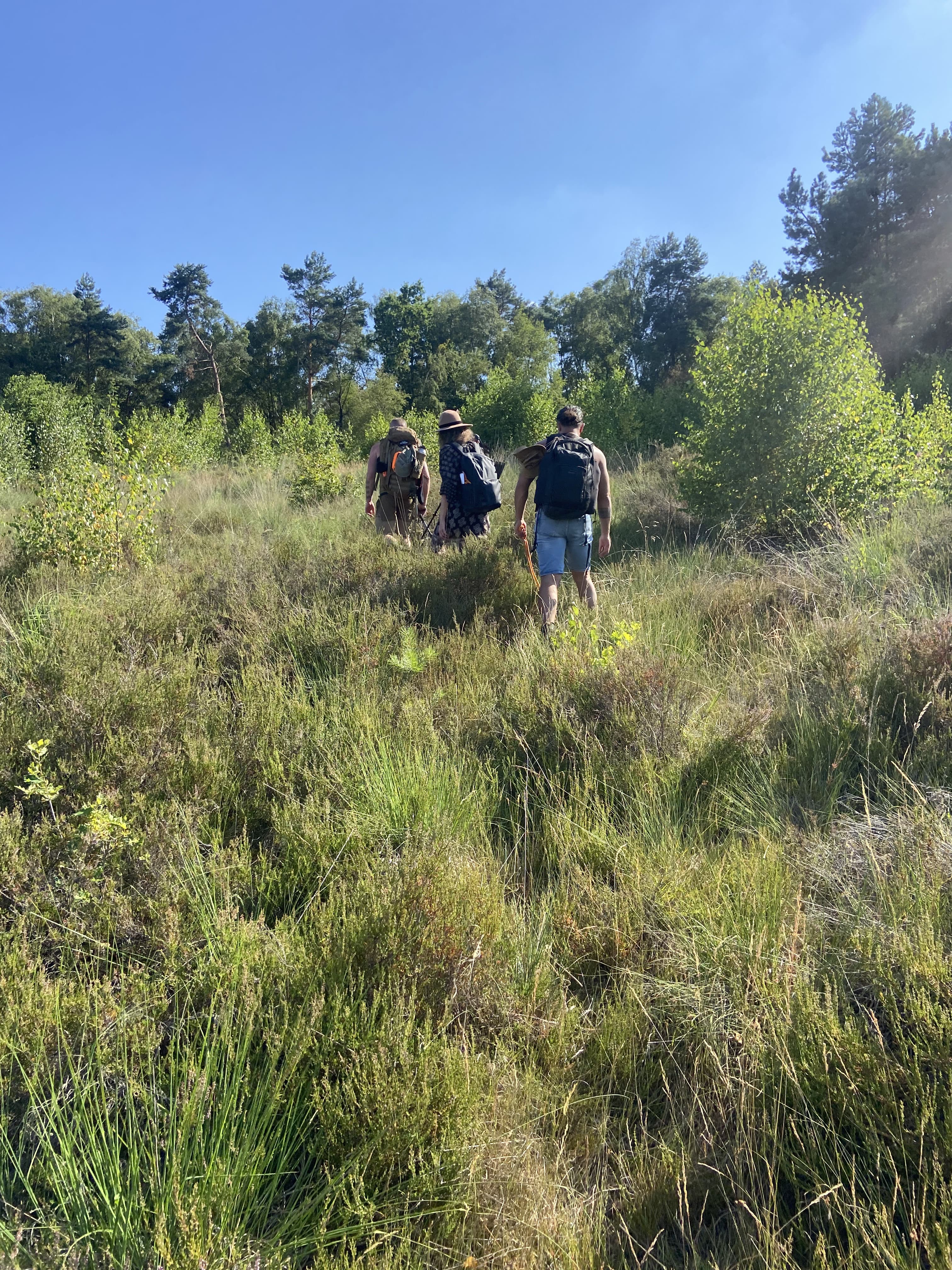 Reconnect Outdoors — Hikes, Survival Trails & Bushcraft Courses — photo 7